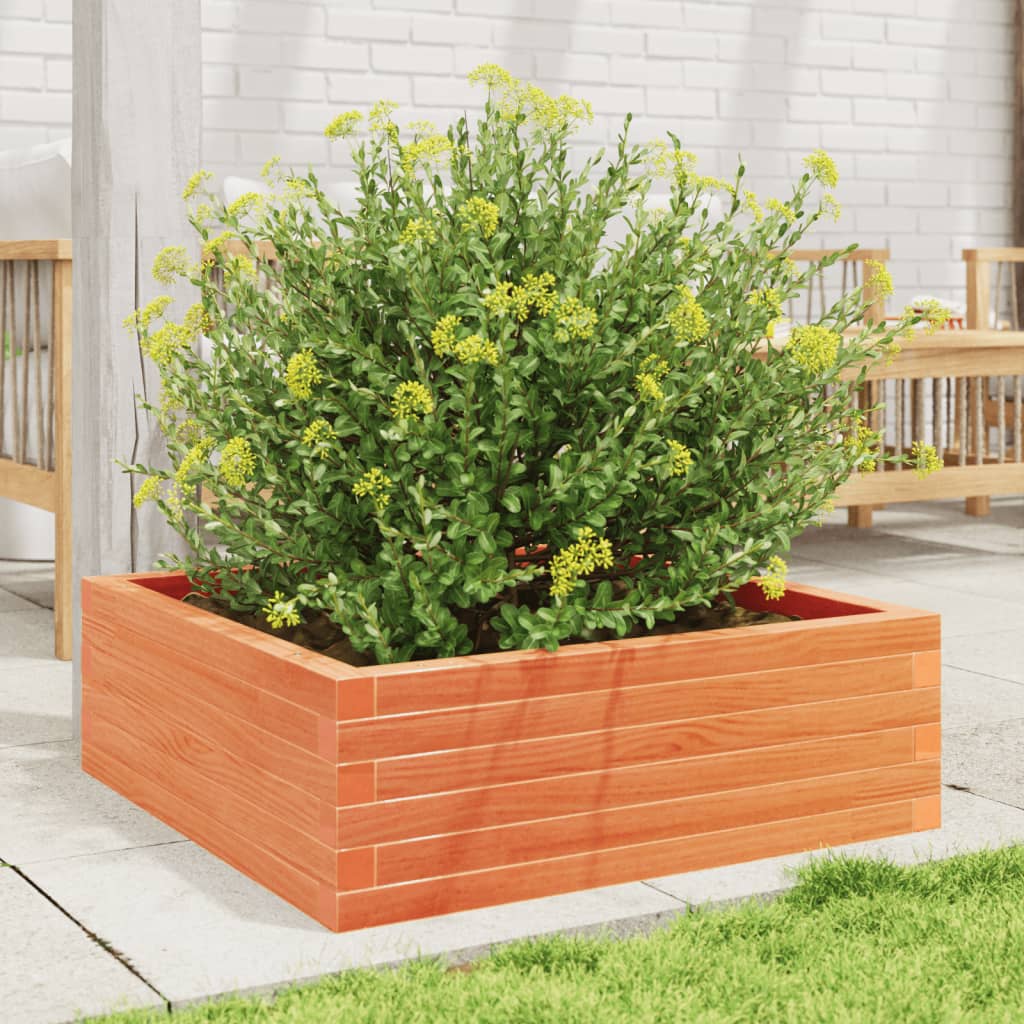 plantekasse 70x70x23 cm massivt fyrretræ gyldenbrun