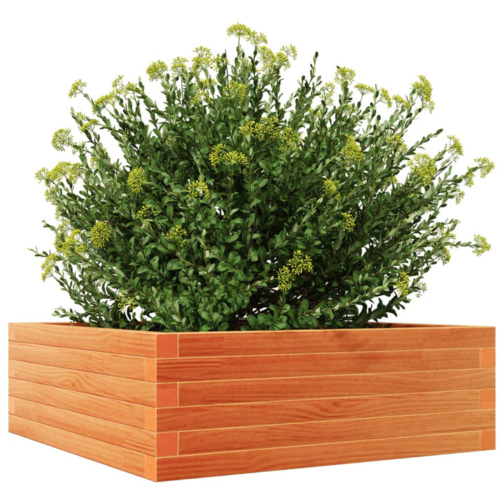 plantekasse 70x70x23 cm massivt fyrretræ gyldenbrun