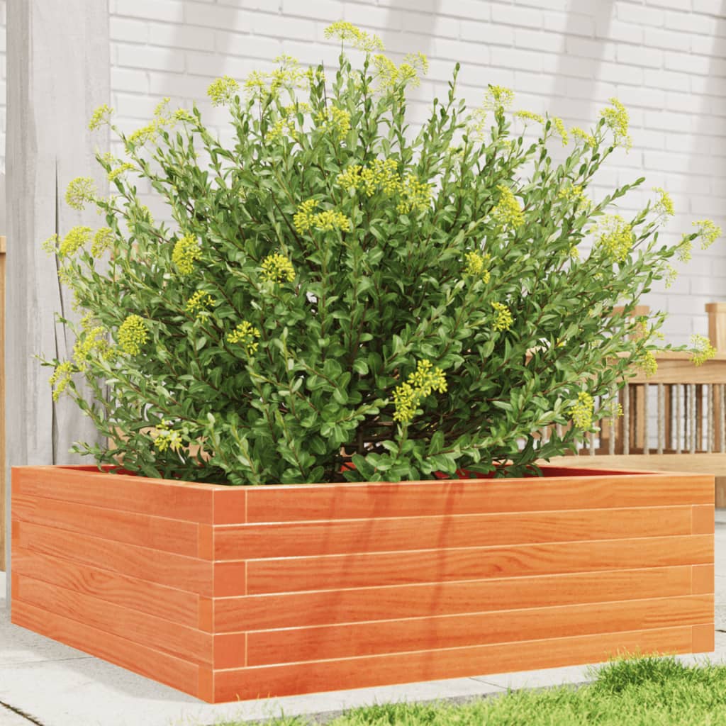 plantekasse 70x70x23 cm massivt fyrretræ gyldenbrun