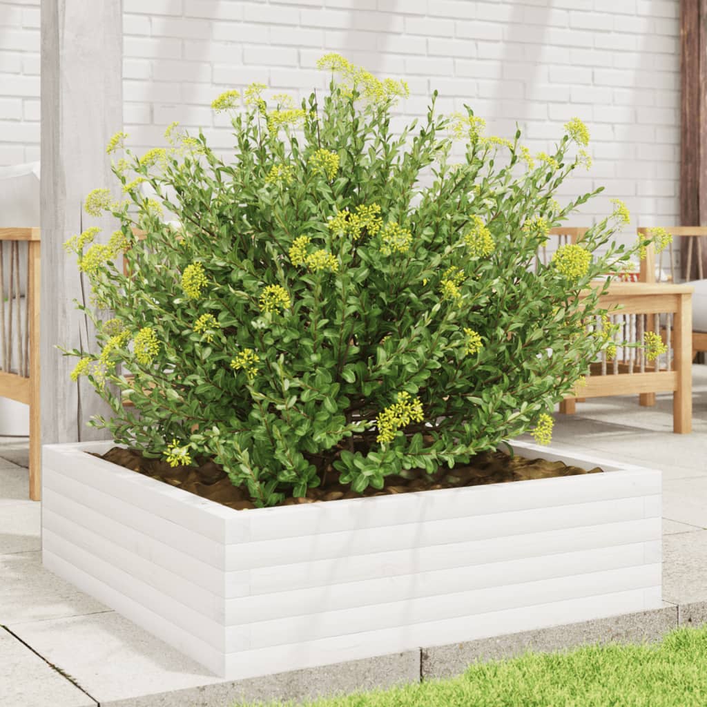 plantekasse 80x80x23 cm massivt fyrretræ hvid