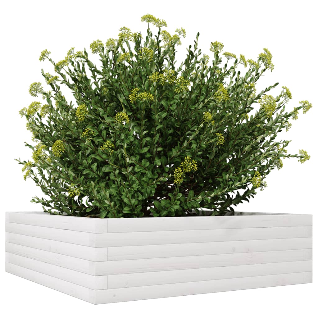 plantekasse 80x80x23 cm massivt fyrretræ hvid