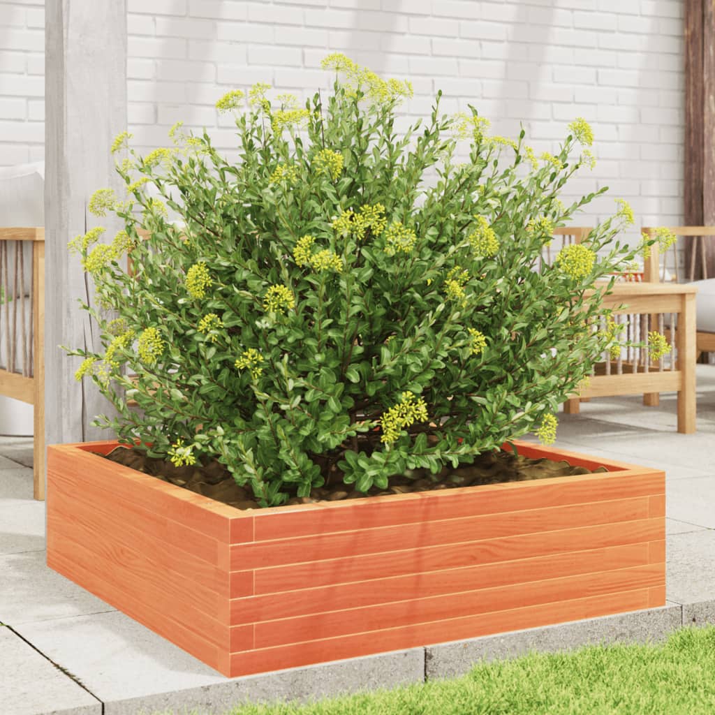 plantekasse 80x80x23 cm massivt fyrretræ gyldenbrun