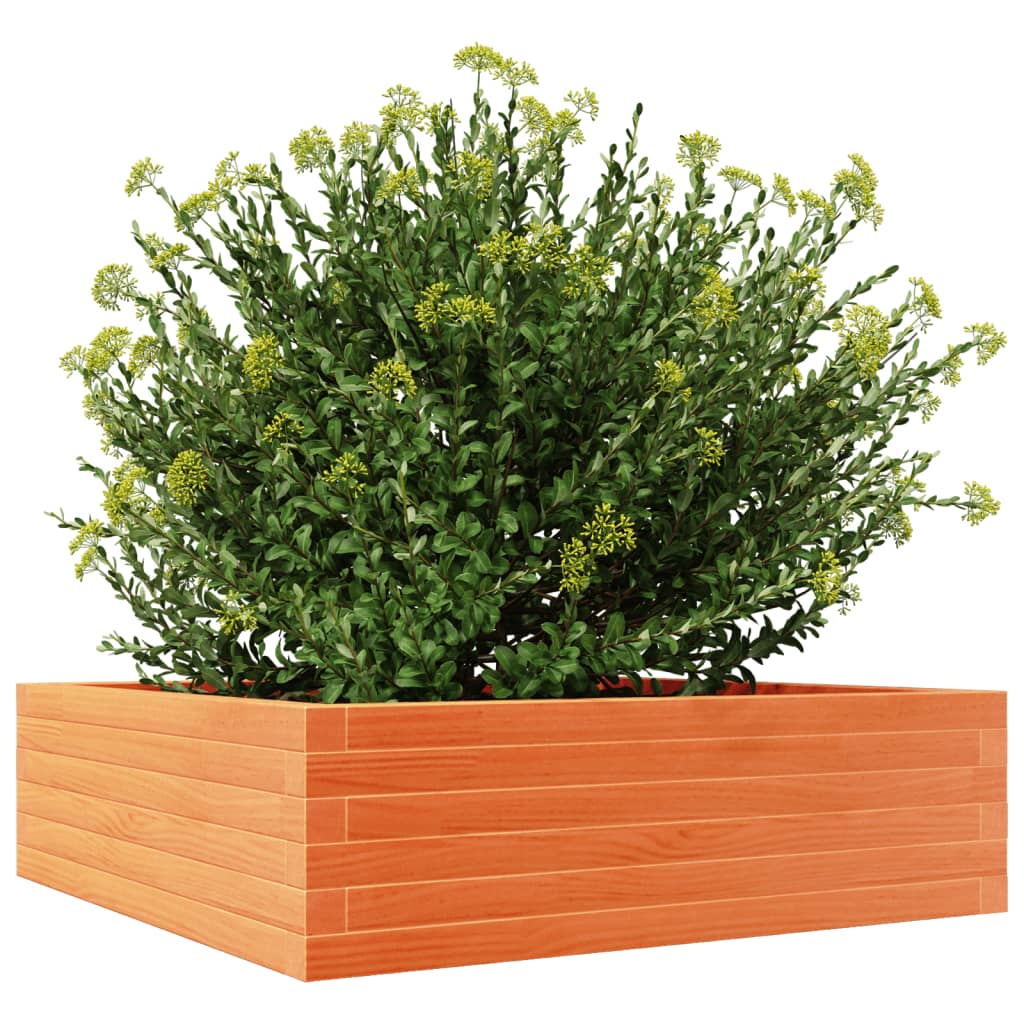plantekasse 80x80x23 cm massivt fyrretræ gyldenbrun