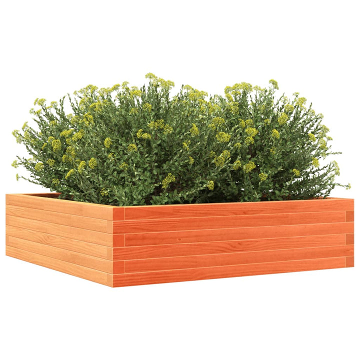 plantekasse 90x90x23 cm massivt fyrretræ gyldenbrun