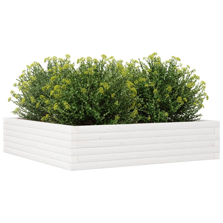 plantekasse 100x100x23 cm massivt fyrretræ hvid