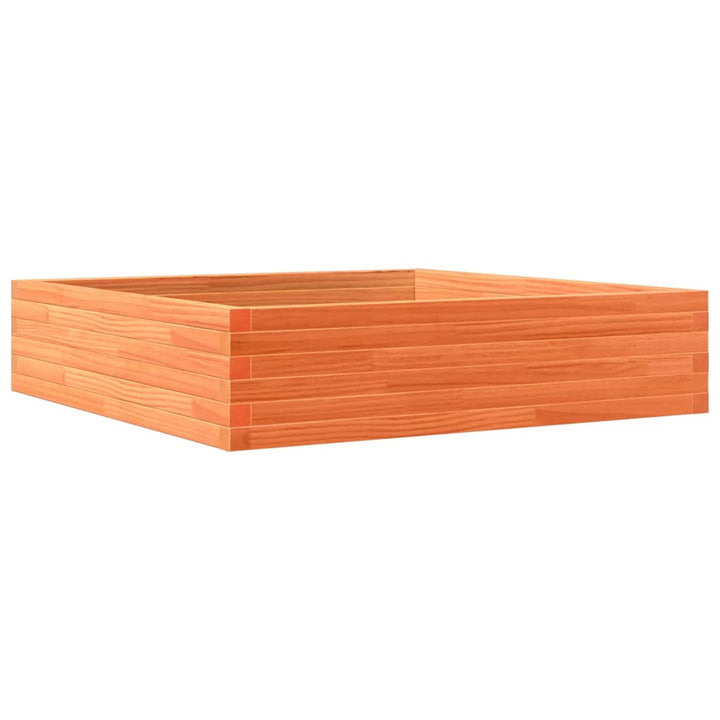 plantekasse 100x100x23 cm massivt fyrretræ gyldenbrun