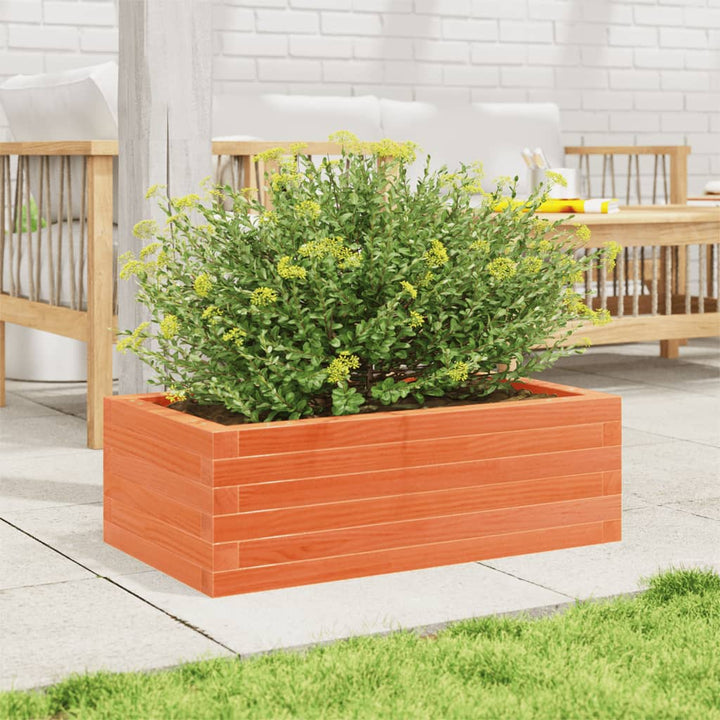 plantekasse 70x40x23 cm massivt fyrretræ gyldenbrun