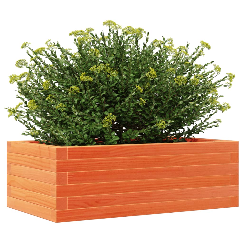 plantekasse 70x40x23 cm massivt fyrretræ gyldenbrun
