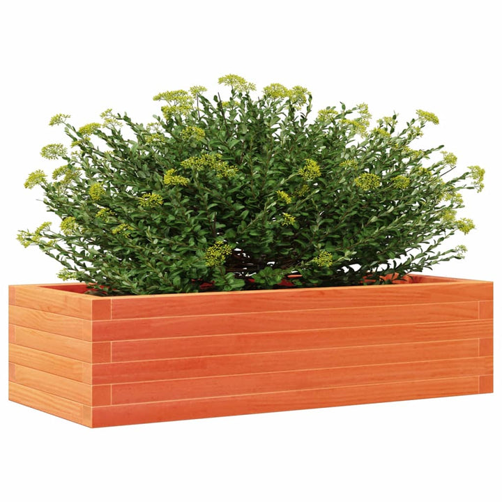 plantekasse 90x40x23 cm massivt fyrretræ gyldenbrun