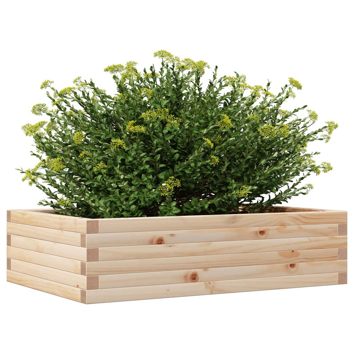 plantekasse 90x60x23 cm massivt fyrretræ