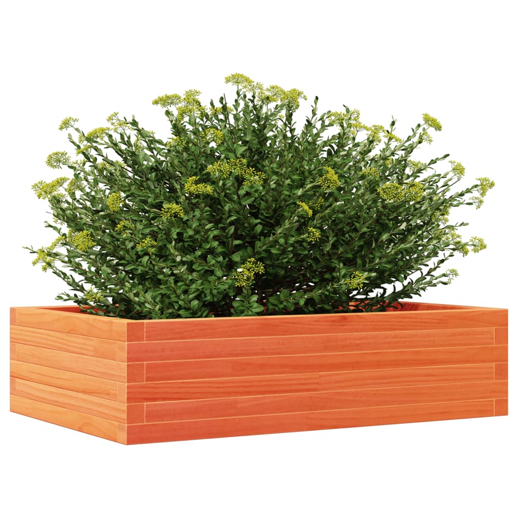 plantekasse 90x60x23 cm massivt fyrretræ gyldenbrun
