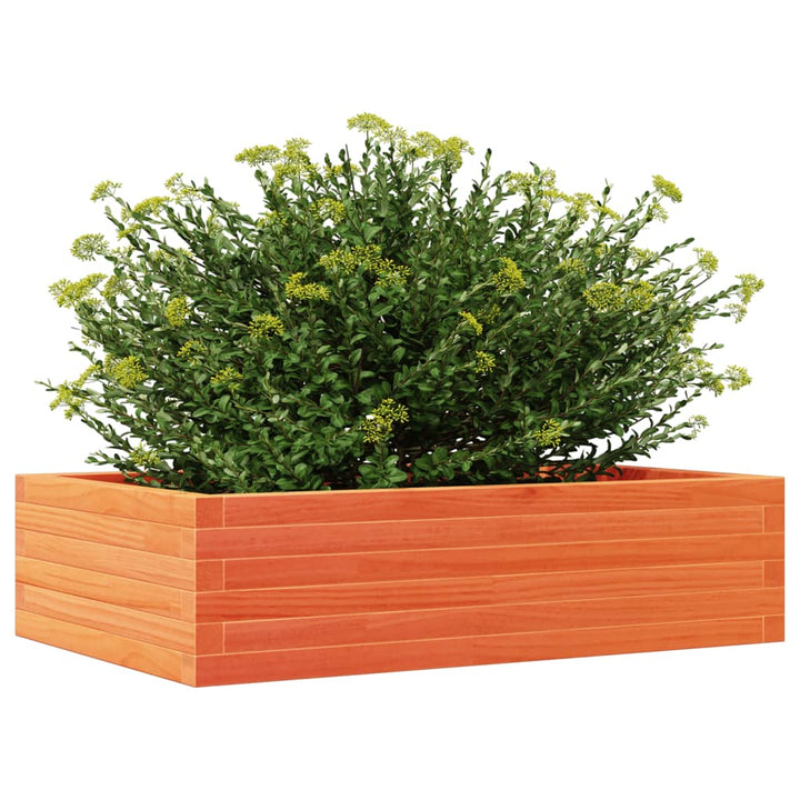 plantekasse 90x60x23 cm massivt fyrretræ gyldenbrun