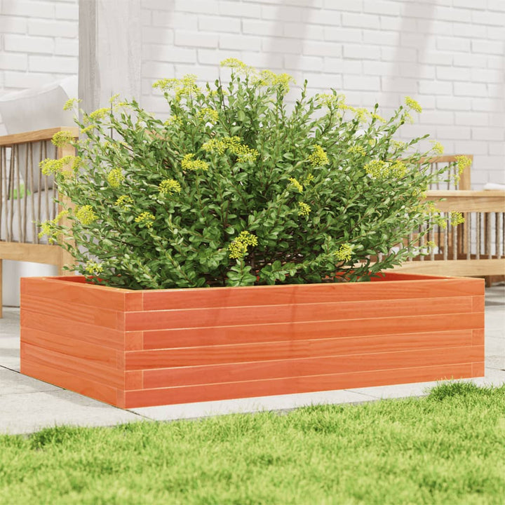 plantekasse 90x60x23 cm massivt fyrretræ gyldenbrun