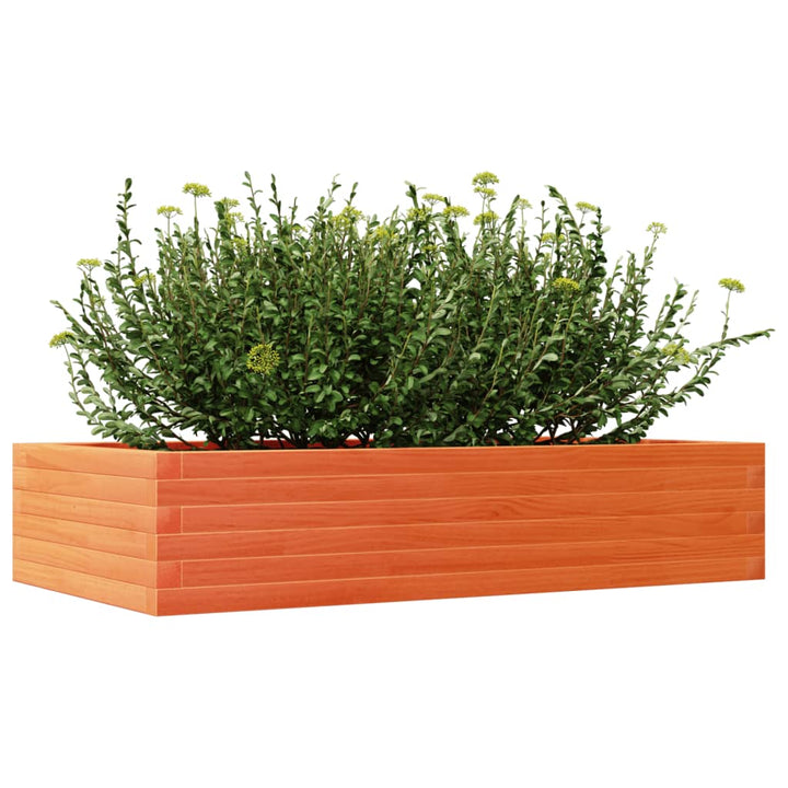 plantekasse 110x60x23 cm massivt fyrretræ gyldenbrun