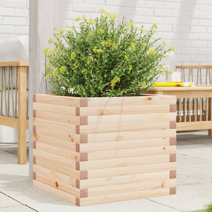 plantekasse 50x50x45,5 cm massivt fyrretræ