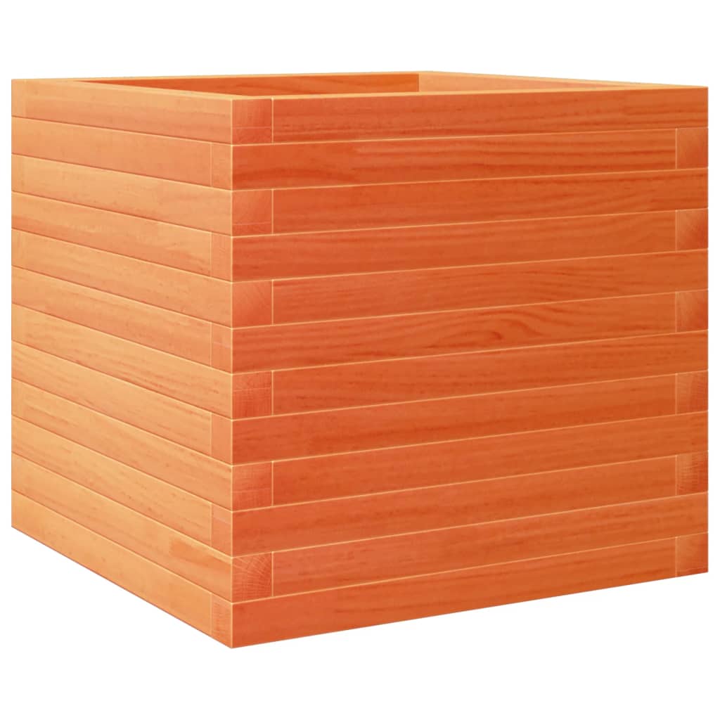 plantekasse 50x50x45,5 cm massivt fyrretræ gyldenbrun