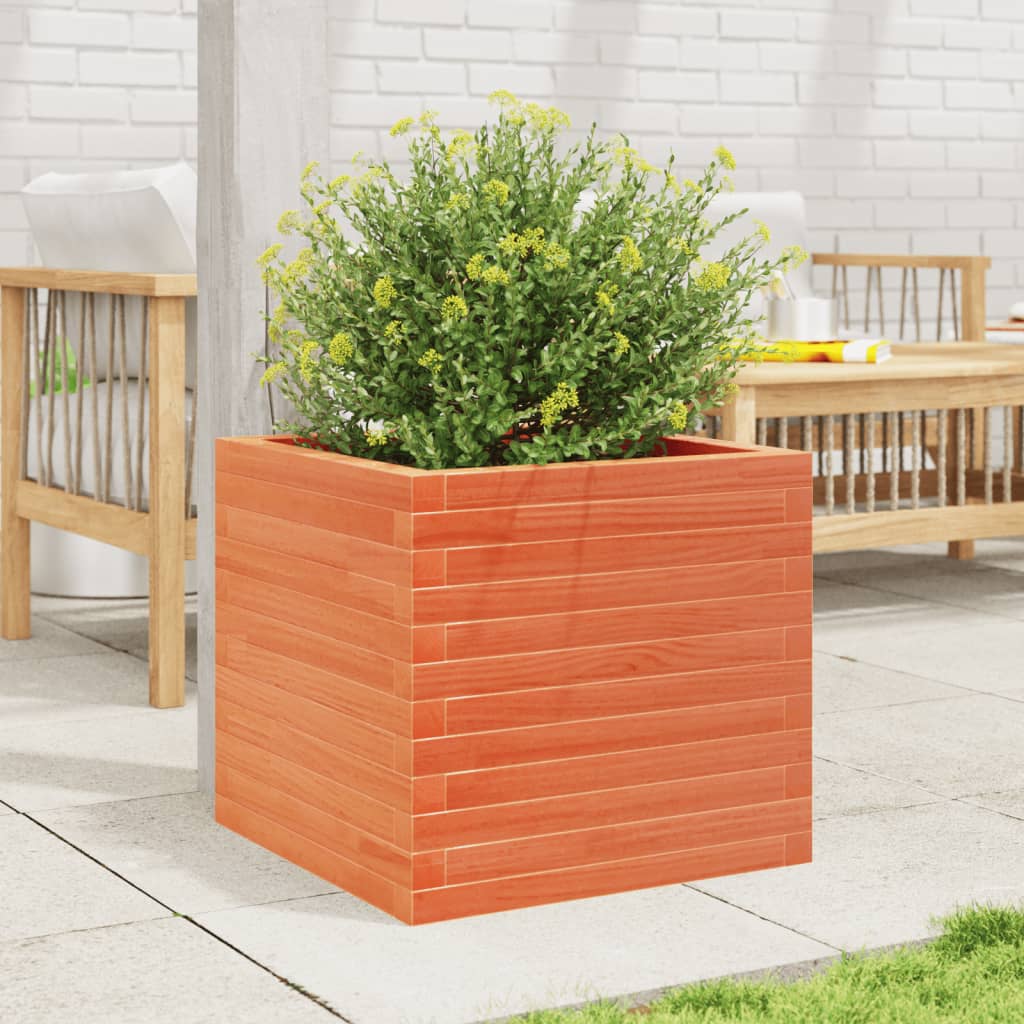plantekasse 50x50x45,5 cm massivt fyrretræ gyldenbrun