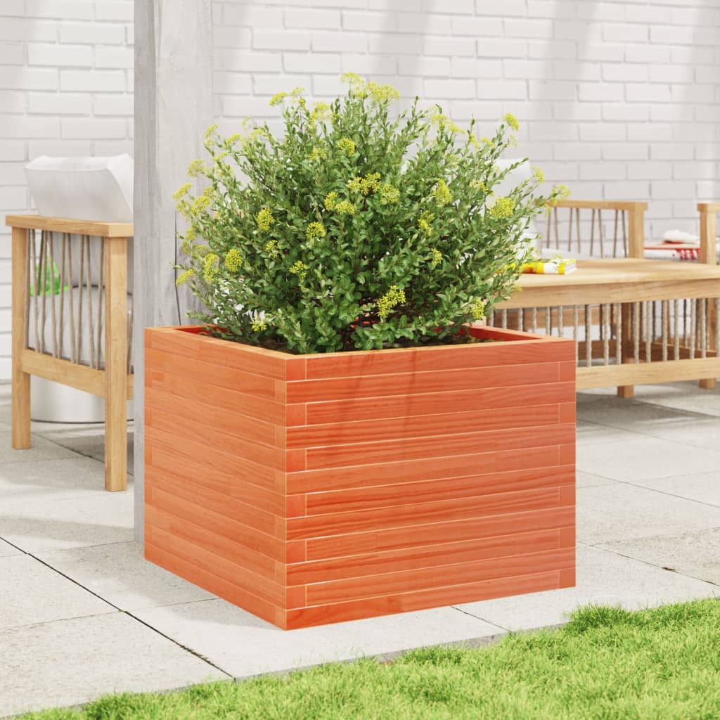 plantekasse 60x60x45,5 cm massivt fyrretræ gyldenbrun
