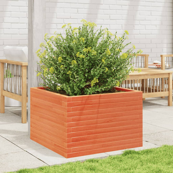 plantekasse 70x70x45,5 cm massivt fyrretræ gyldenbrun