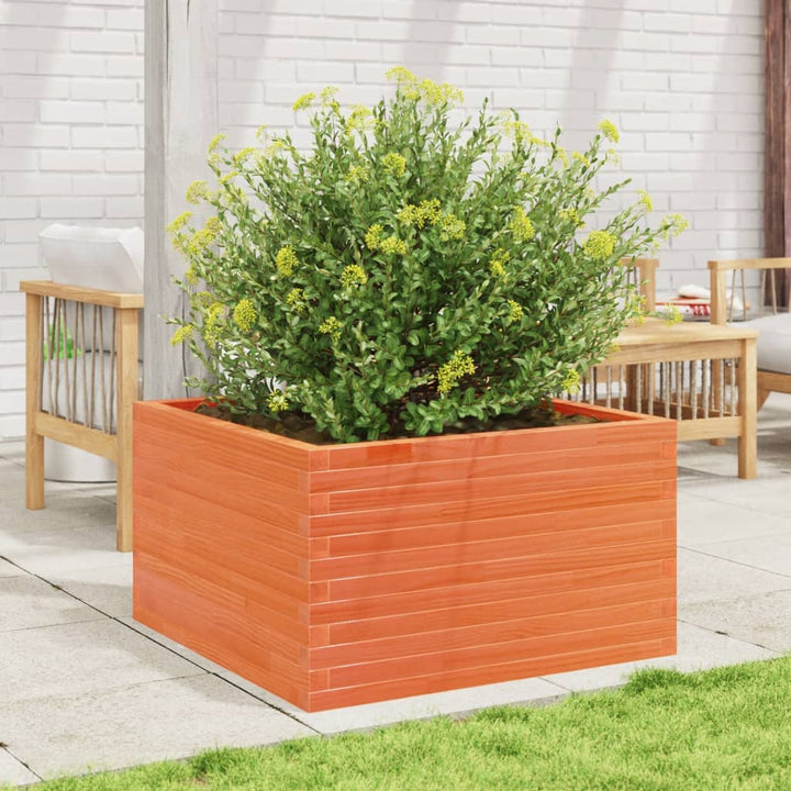plantekasse 80x80x45,5 cm massivt fyrretræ gyldenbrun