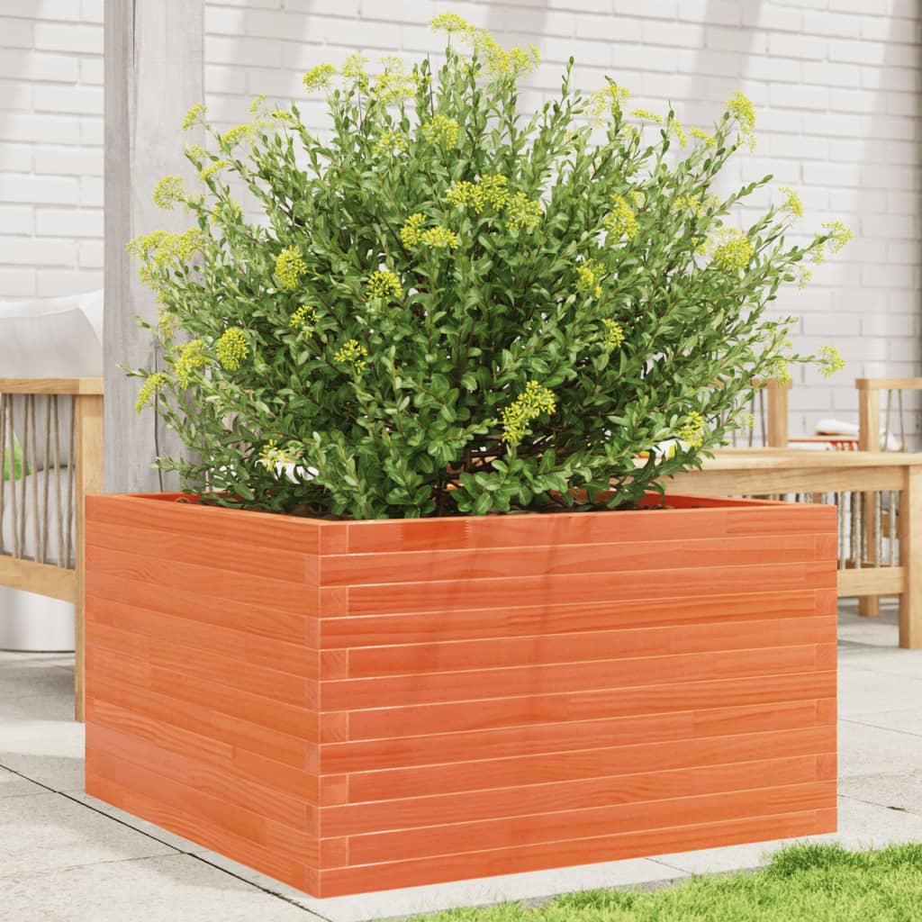 plantekasse 80x80x45,5 cm massivt fyrretræ gyldenbrun