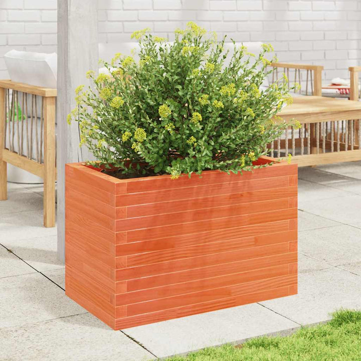 plantekasse 70x40x45,5 cm massivt fyrretræ gyldenbrun