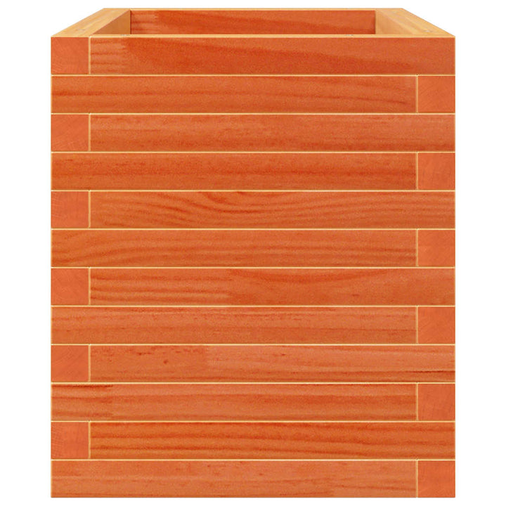 plantekasse 70x40x45,5 cm massivt fyrretræ gyldenbrun