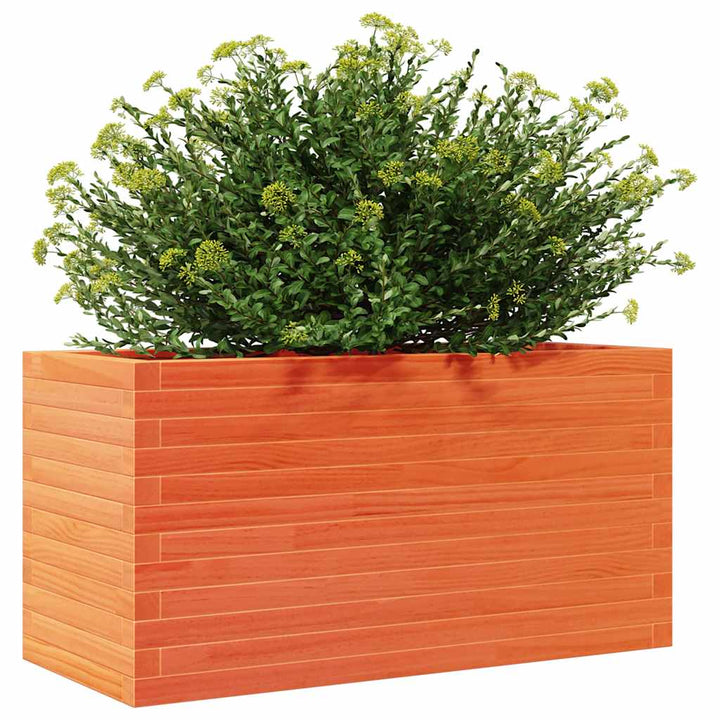 plantekasse 90x40x45,5 cm massivt fyrretræ gyldenbrun
