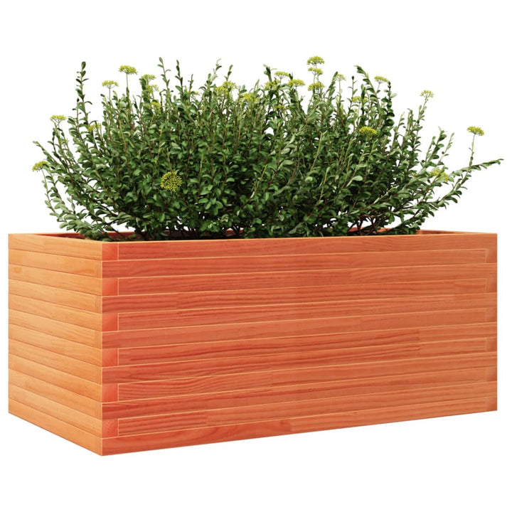 plantekasse 110x60x45,5 cm massivt fyrretræ gyldenbrun