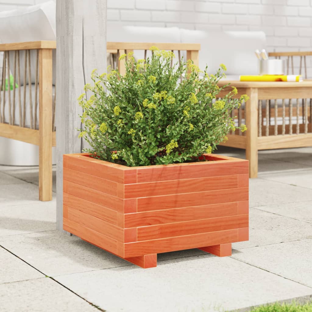 plantekasse 40x40x26,5 cm massivt fyrretræ gyldenbrun