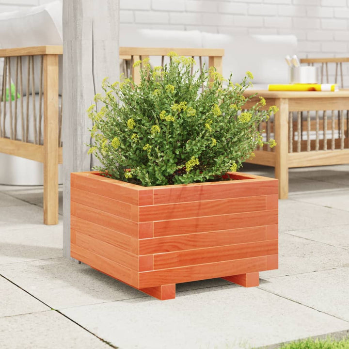 plantekasse 40x40x26,5 cm massivt fyrretræ gyldenbrun