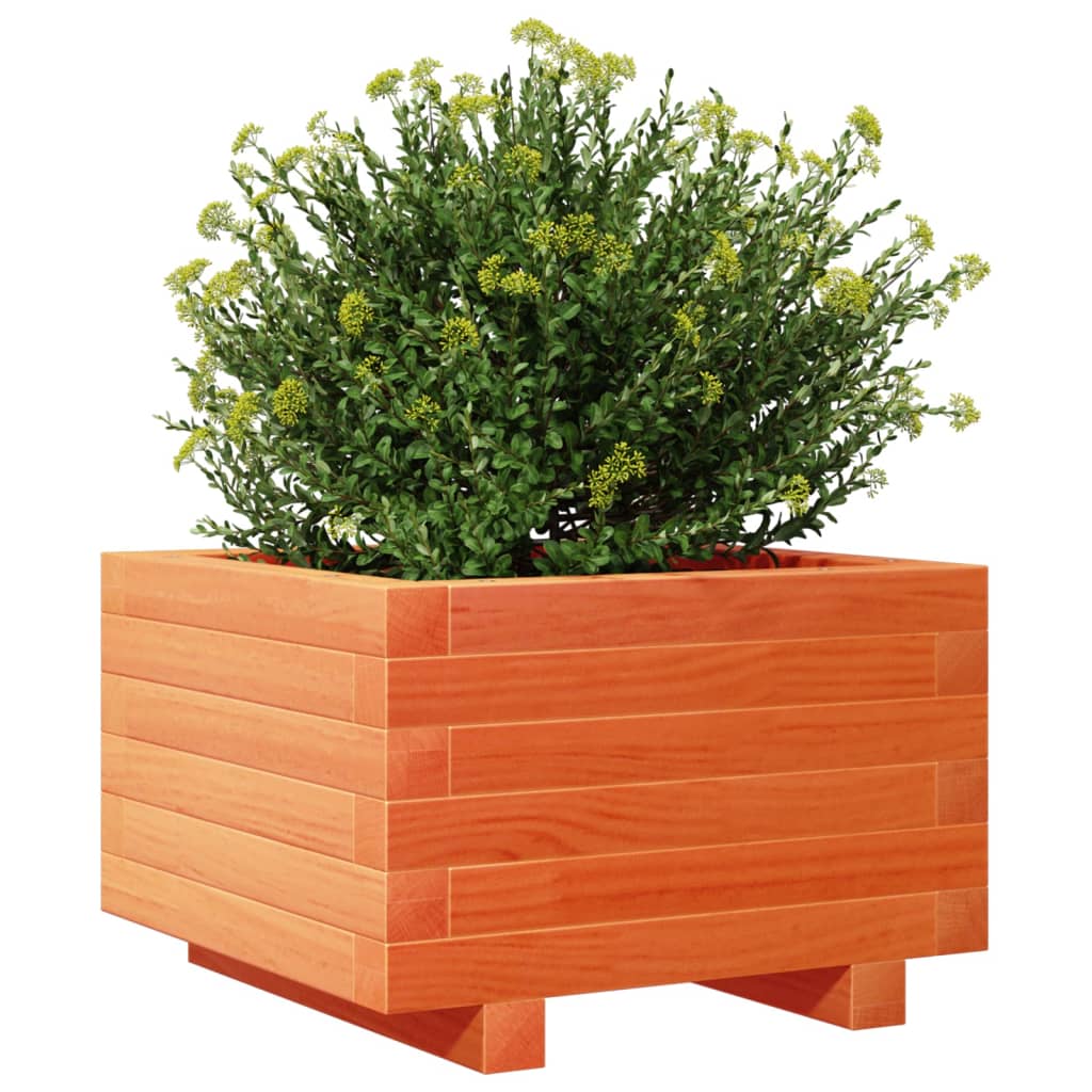 plantekasse 40x40x26,5 cm massivt fyrretræ gyldenbrun