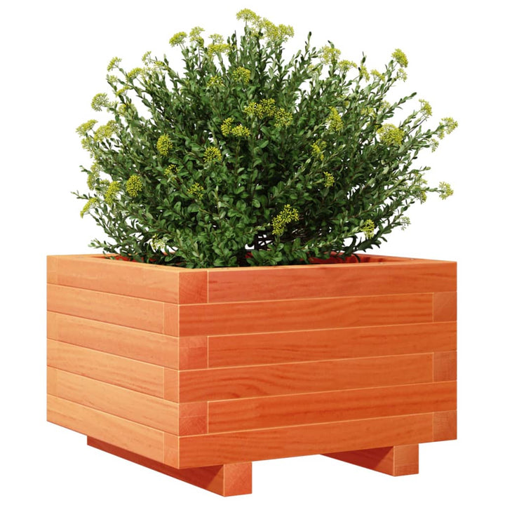 plantekasse 40x40x26,5 cm massivt fyrretræ gyldenbrun