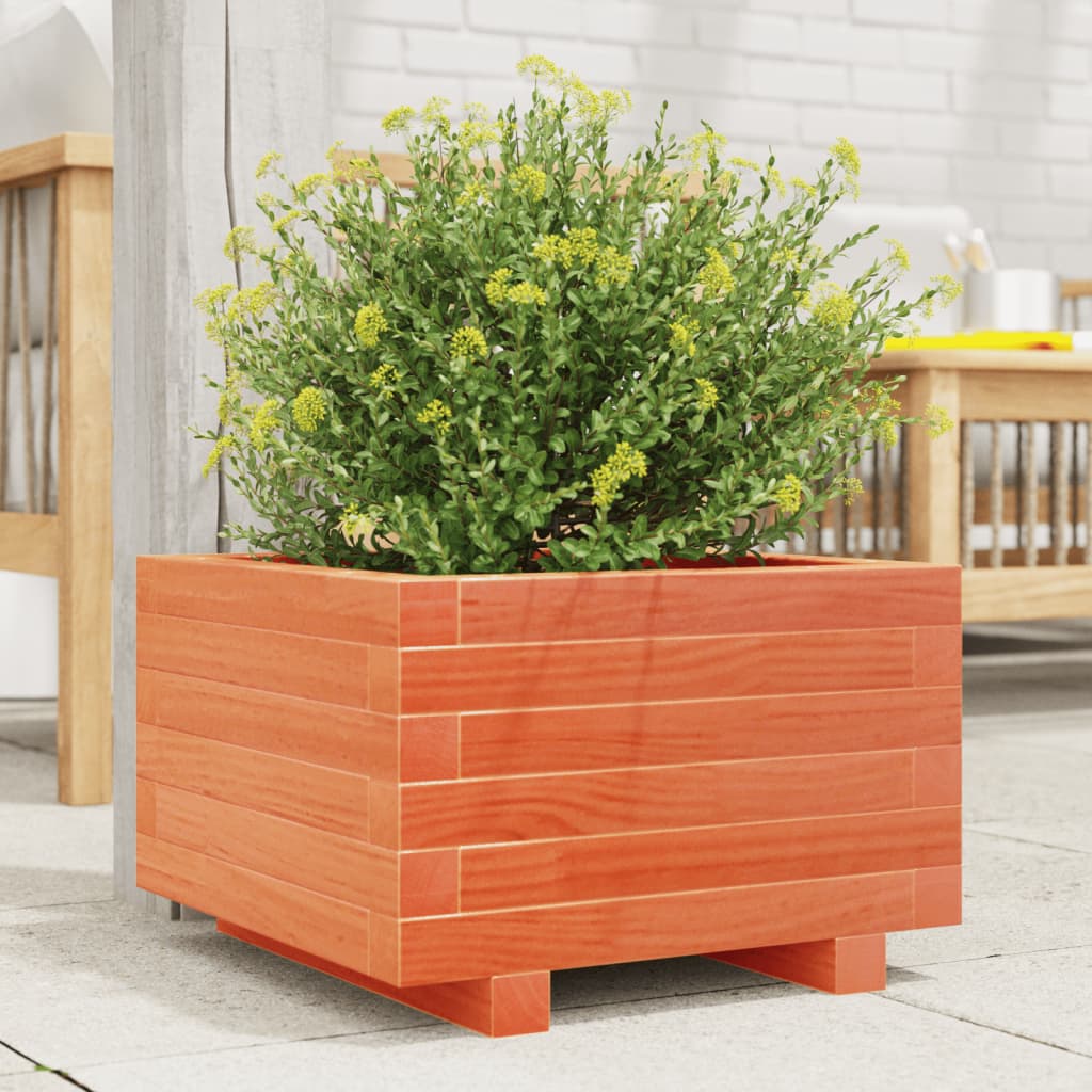 plantekasse 40x40x26,5 cm massivt fyrretræ gyldenbrun