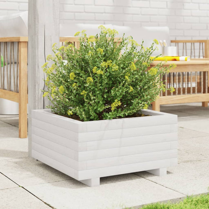 plantekasse 50x50x26,5 cm massivt fyrretræ hvid