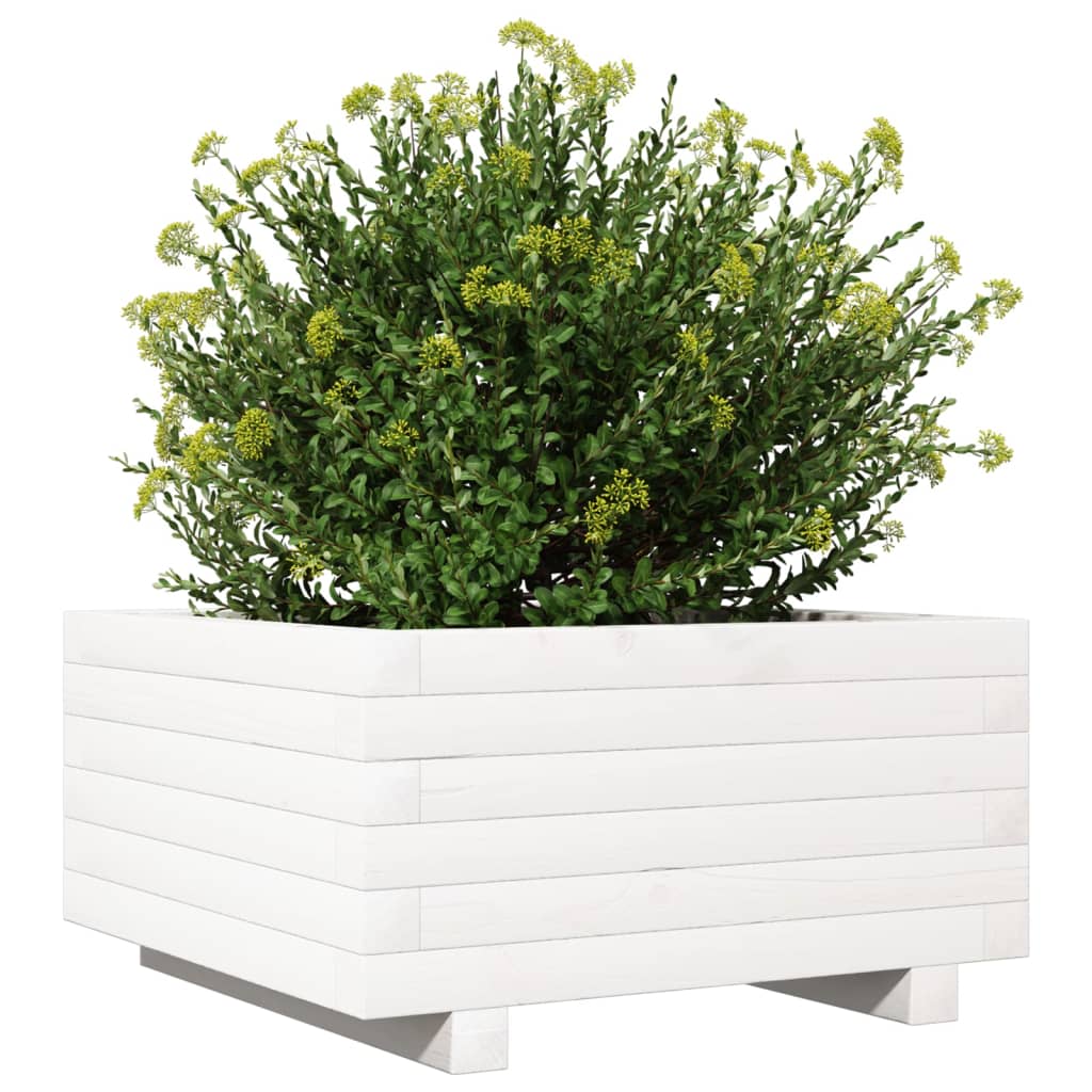 plantekasse 50x50x26,5 cm massivt fyrretræ hvid