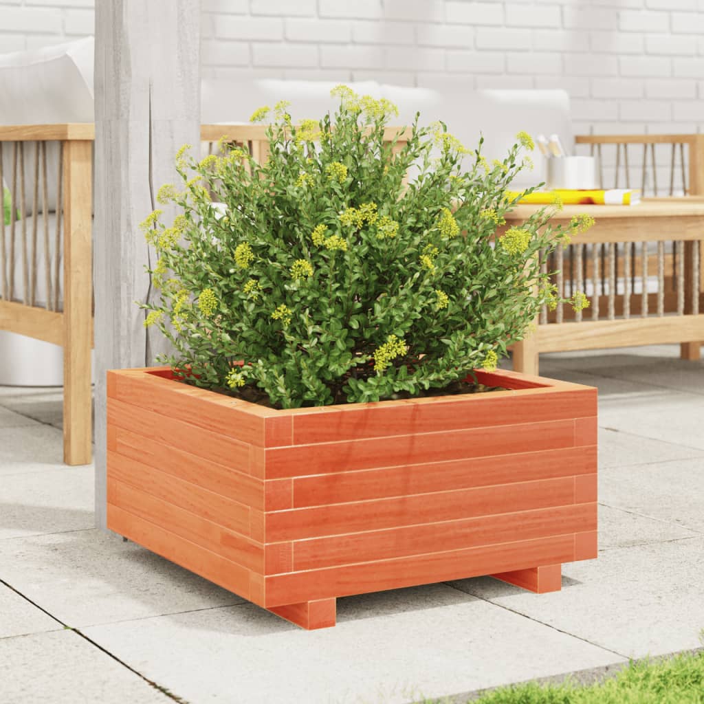 plantekasse 50x50x26,5 cm massivt fyrretræ gyldenbrun