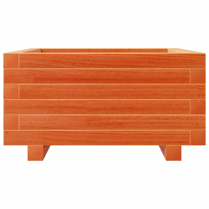 plantekasse 50x50x26,5 cm massivt fyrretræ gyldenbrun