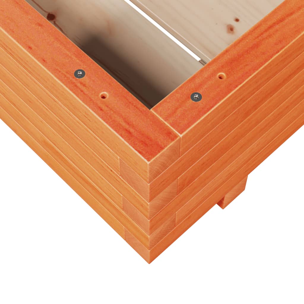 plantekasse 60x60x26,5 cm massivt fyrretræ gyldenbrun