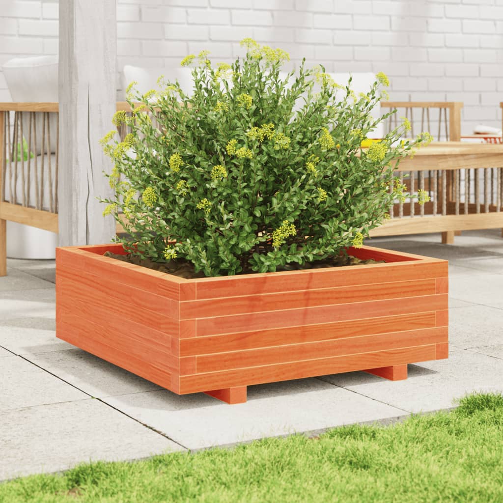 plantekasse 70x70x26,5 cm massivt fyrretræ gyldenbrun