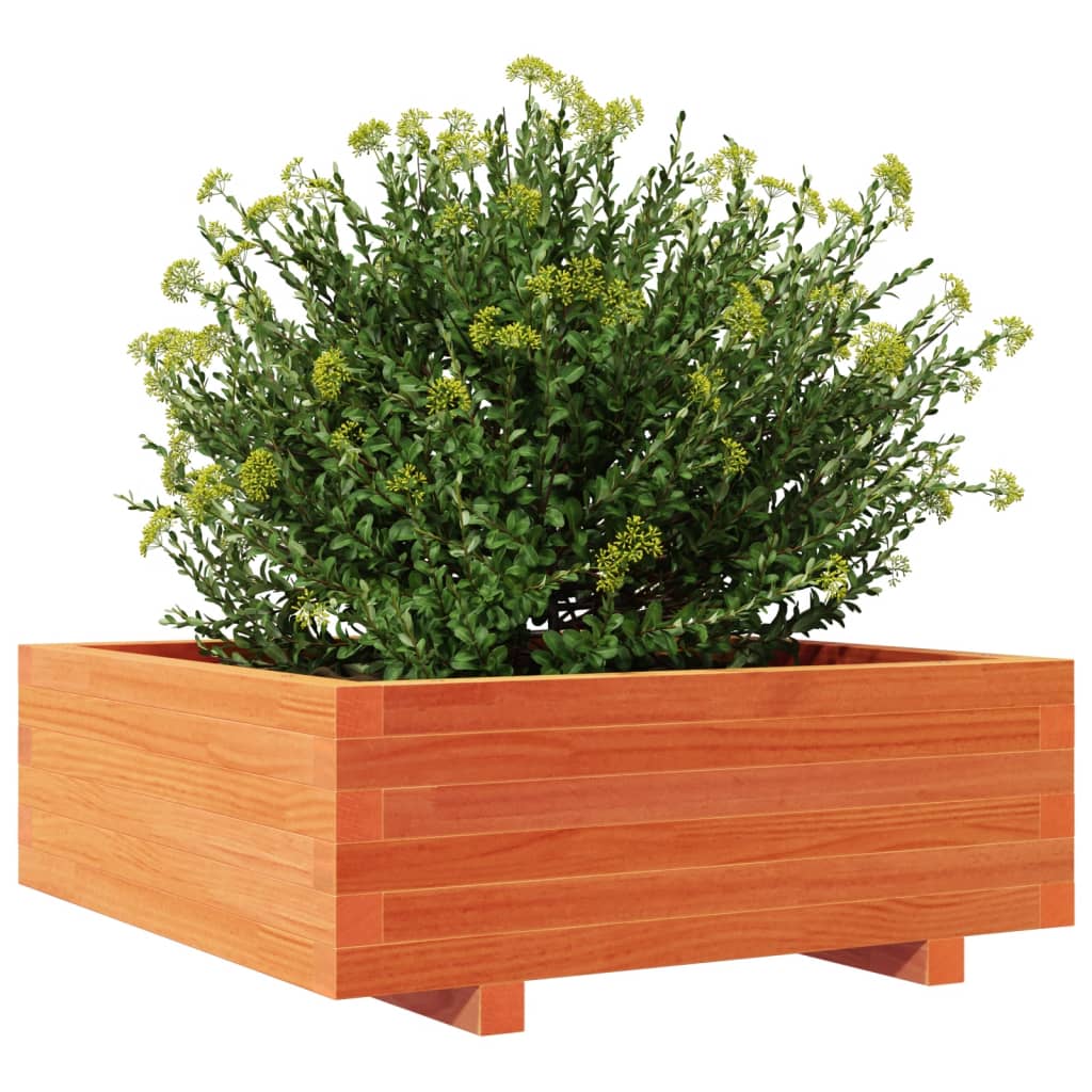 plantekasse 70x70x26,5 cm massivt fyrretræ gyldenbrun