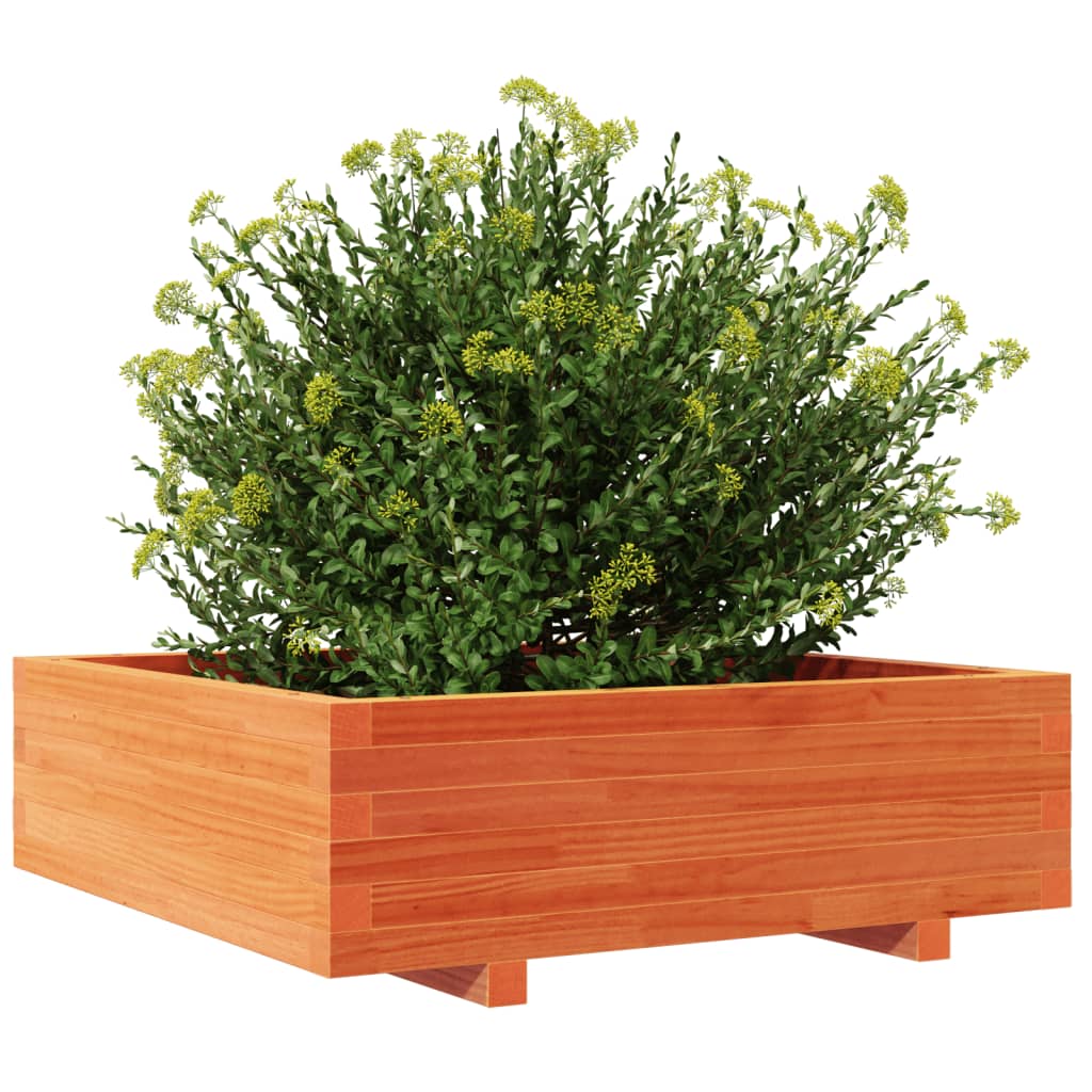 plantekasse 80x80x26,5 cm massivt fyrretræ gyldenbrun