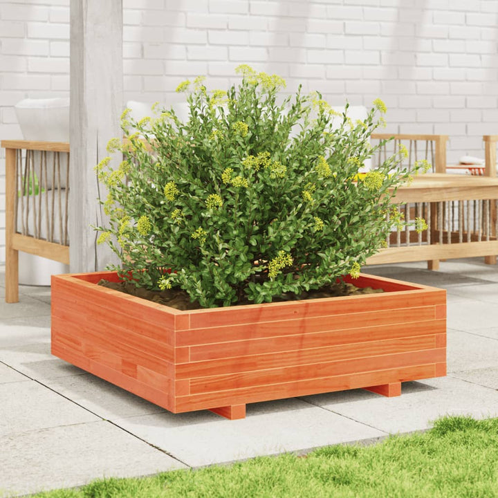plantekasse 90x90x26,5 cm massivt fyrretræ gyldenbrun