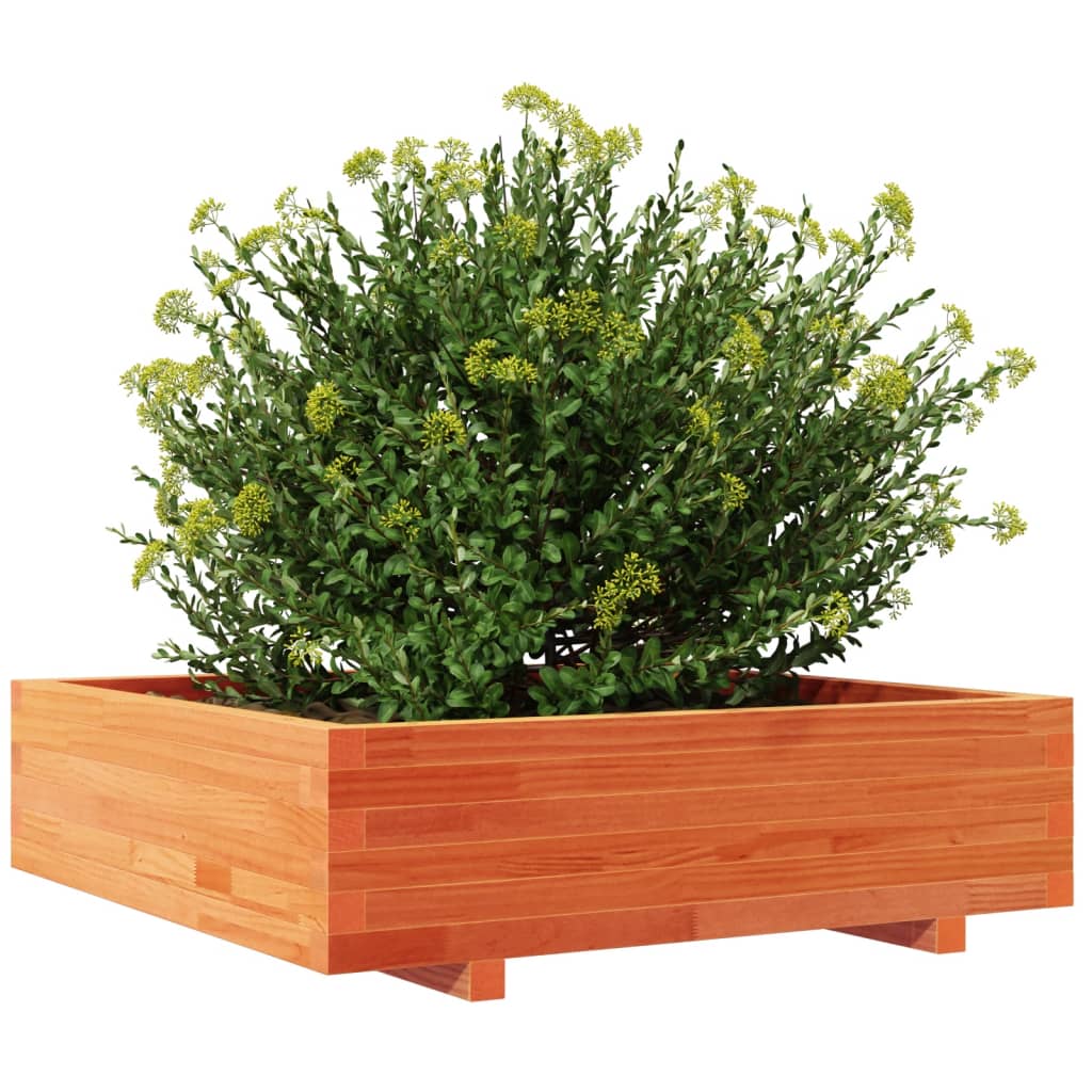 plantekasse 90x90x26,5 cm massivt fyrretræ gyldenbrun