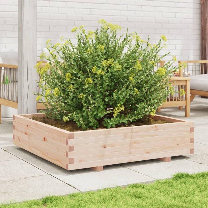 plantekasse 100x100x26,5 cm massivt fyrretræ