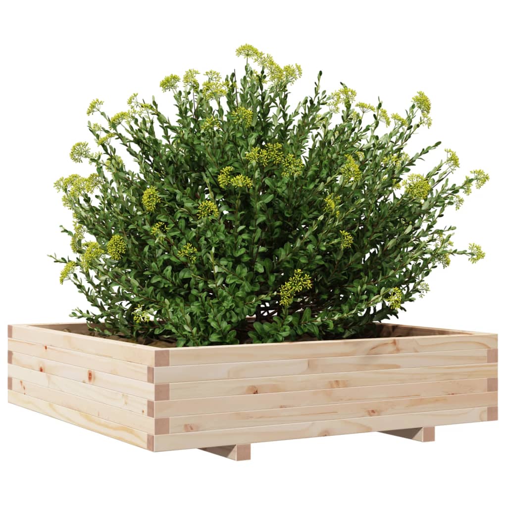plantekasse 100x100x26,5 cm massivt fyrretræ