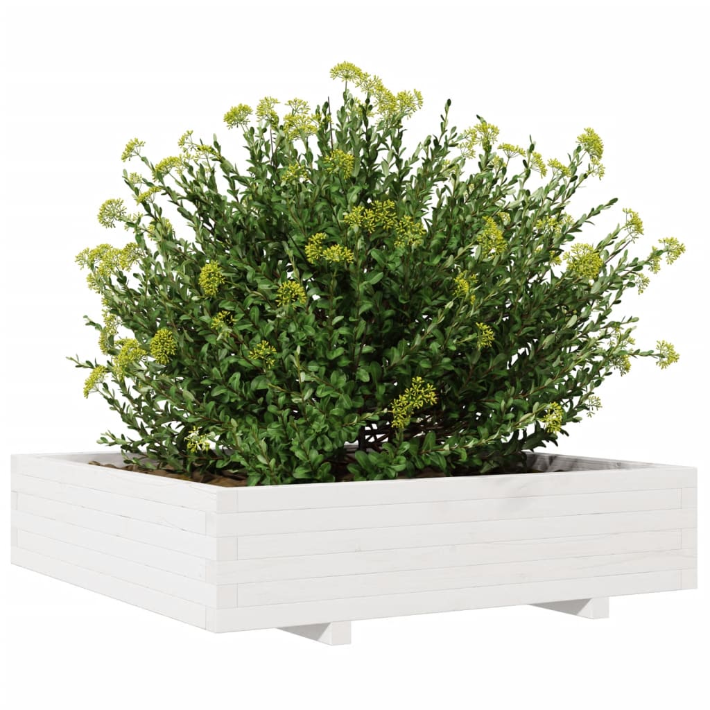 plantekasse 100x100x26,5 cm massivt fyrretræ hvid