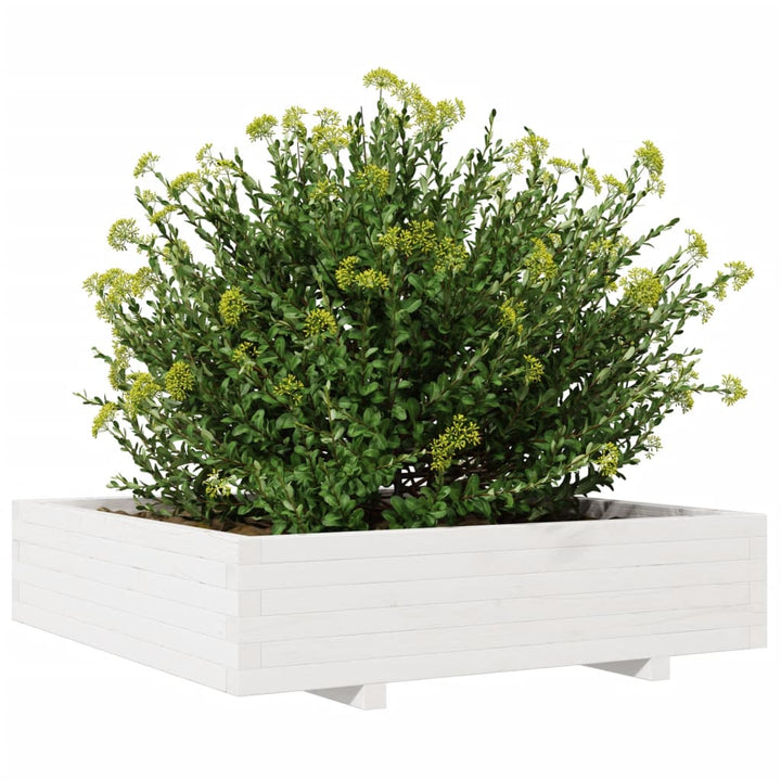 plantekasse 100x100x26,5 cm massivt fyrretræ hvid
