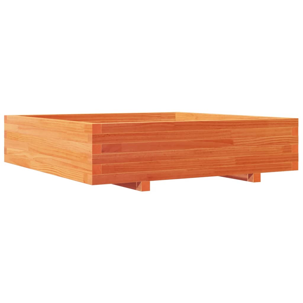 plantekasse 100x100x26,5 cm massivt fyrretræ gyldenbrun