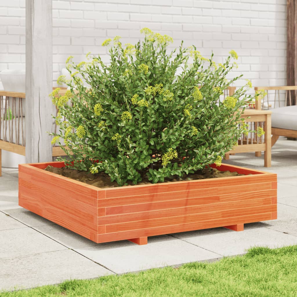 plantekasse 100x100x26,5 cm massivt fyrretræ gyldenbrun